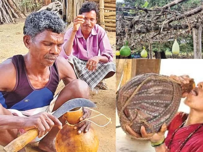 ఆదివాసీల 'నేచురల్ ఫ్రిడ్జ్' ఆనప బూర చూసార!