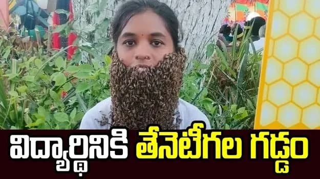 స్టూడెంట్ ఫేస్ పై 20,000 తేనెటీగలు! 