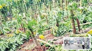 తెలుగు రాష్ట్రాల్లో గాలివాన బీభత్సం... ముగ్గురి మృతి