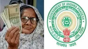 జూన్‌లో కొత్తగా 5606 వితంతు పెన్షన్లు