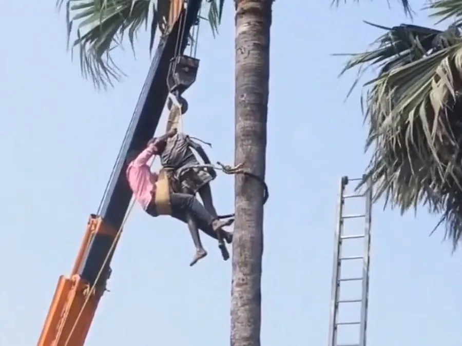 తీవ్ర విషాదం:  తాటిచెట్టుపై హార్ట్ ఎటాక్