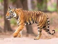 'అటు వైపు ఎవరూ వెళ్లొద్దు'