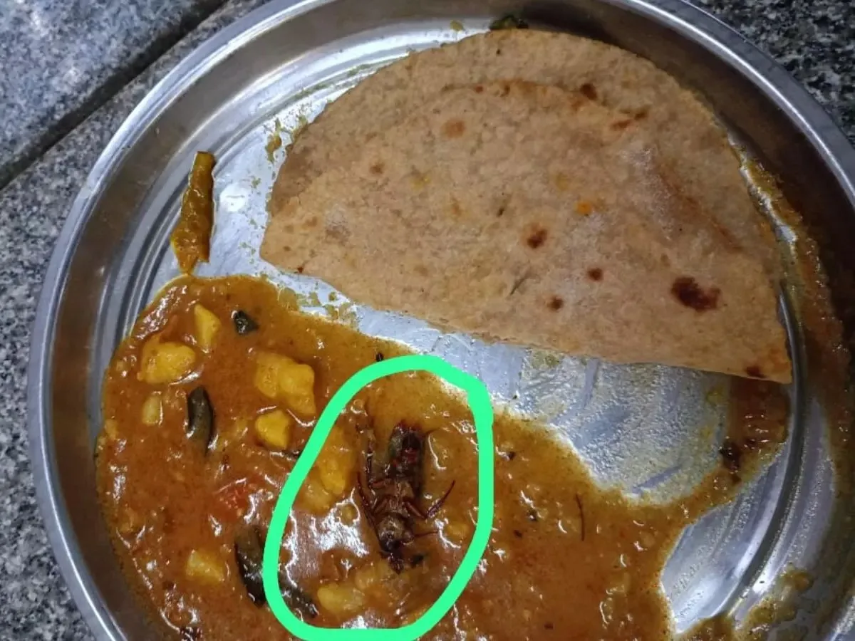 బాసర త్రిబుల్ ఐటీ.. ఫుడ్‌లో బొద్దింక