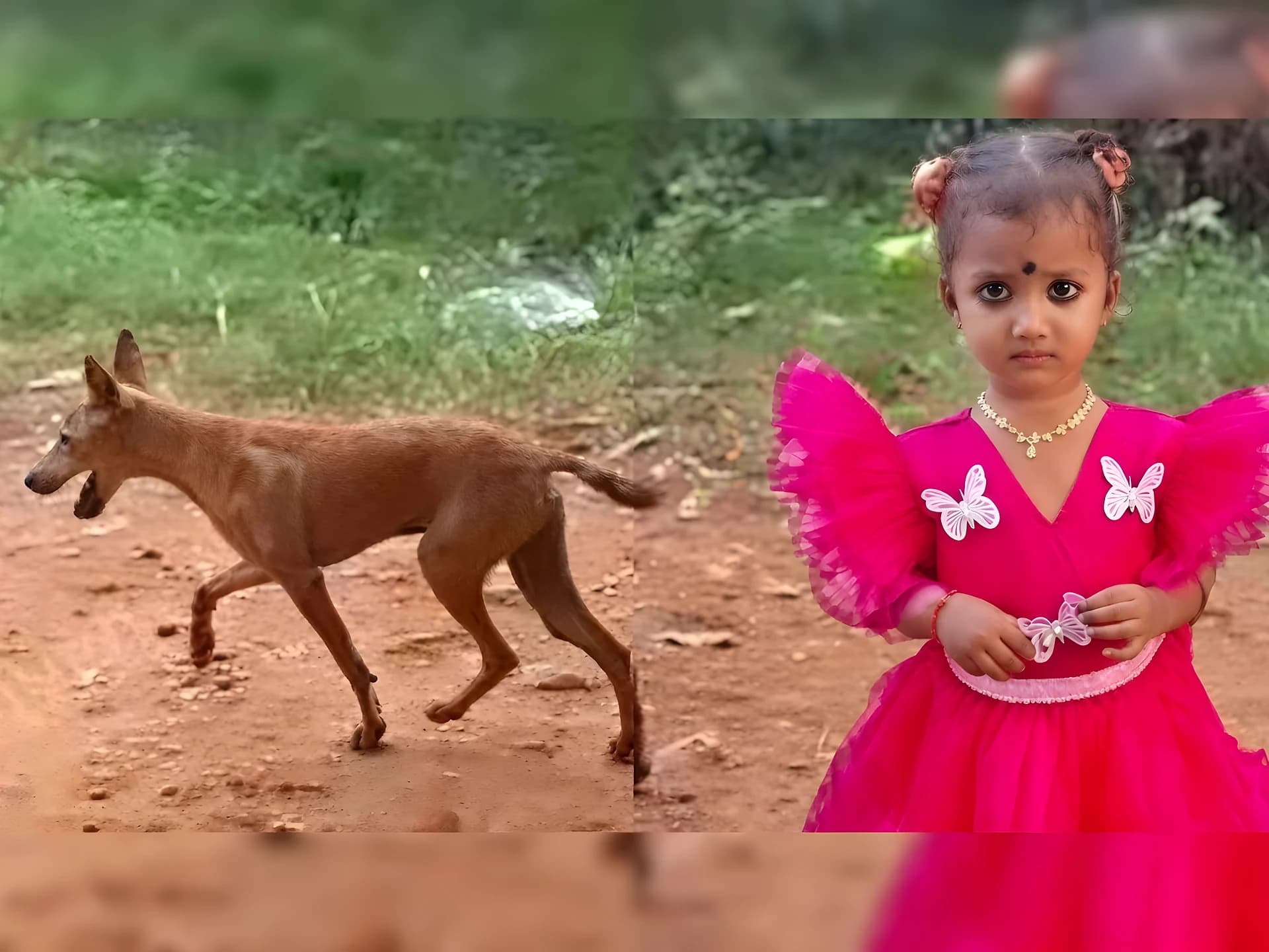 చిన్నారి మిస్సింగ్ కేసు.. వీడిన కుక్క మృతి మిస్టరీ
