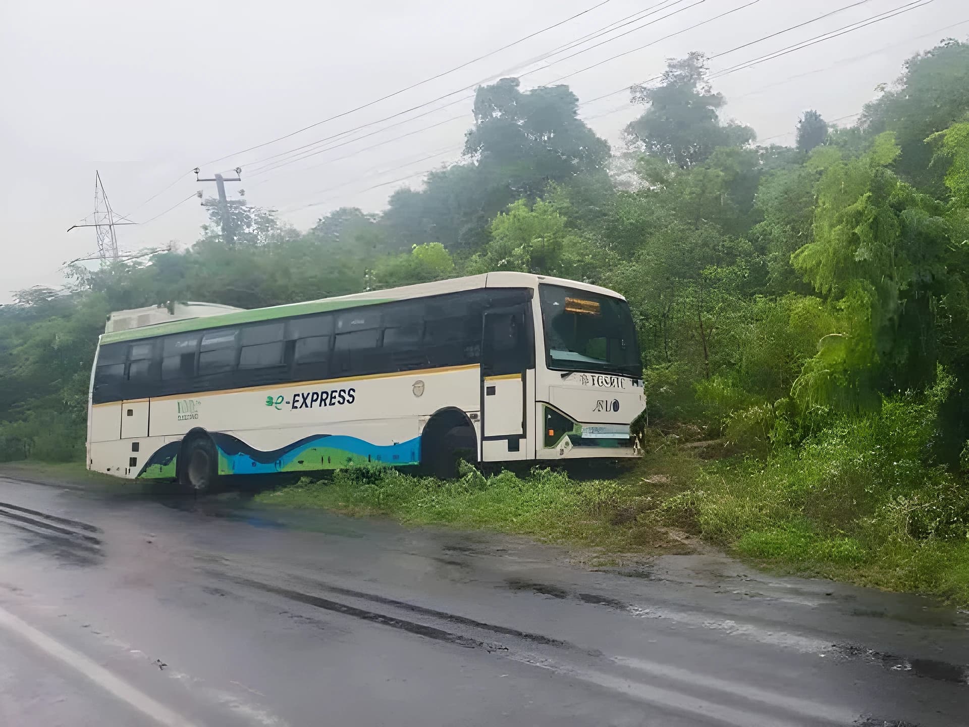 చెట్ల పొదల్లోకి దూసుకెళ్లిన బస్సు