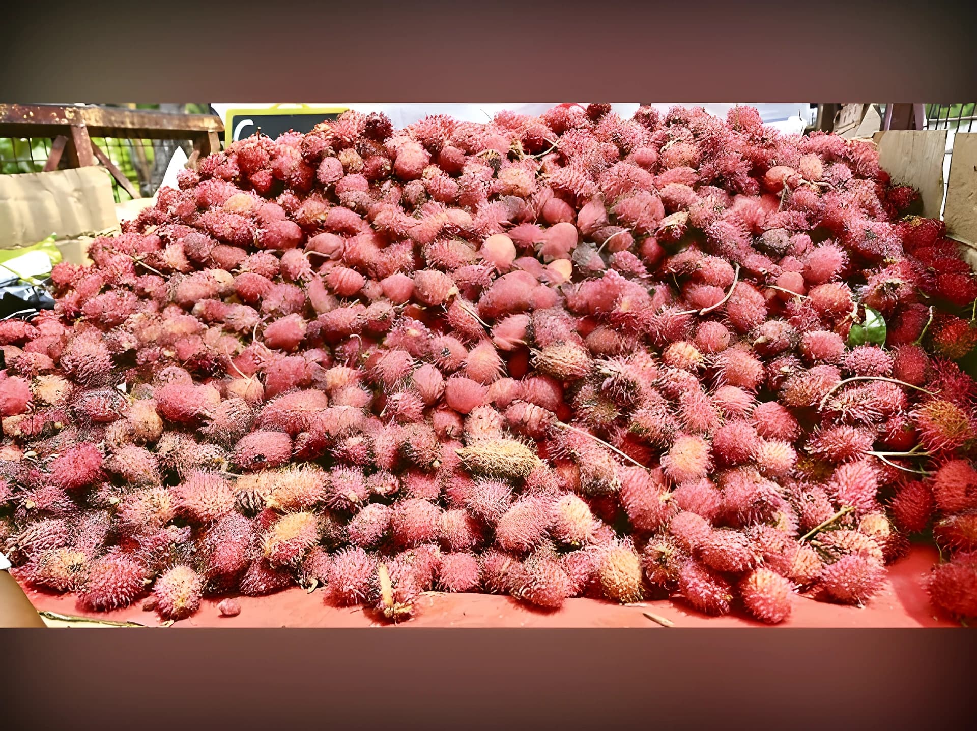 జుట్టు మొలిచినట్టున్న ఈ పండు ఏంటో తెలుసా?