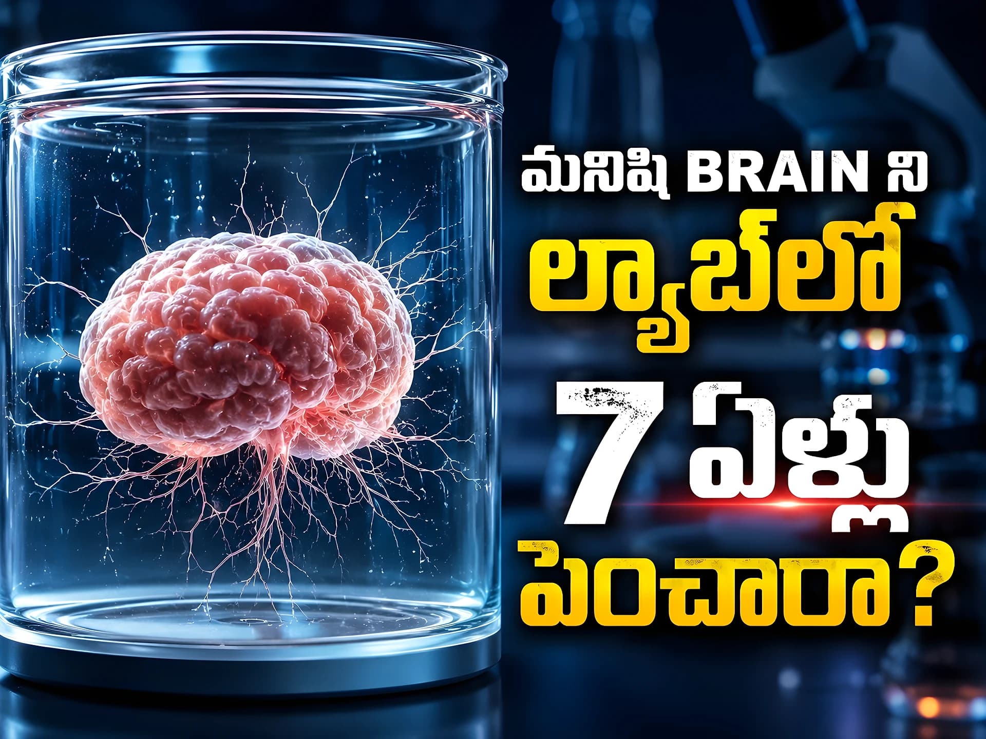 ల్యాబ్‌లో పెంచిన మెదడు కణాలు