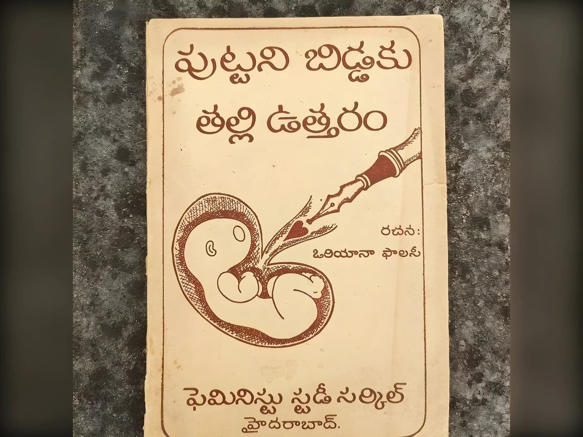 స్త్రీల గర్భం, స్వేచ్ఛపై సామాజిక వ్యాఖ్యానం
