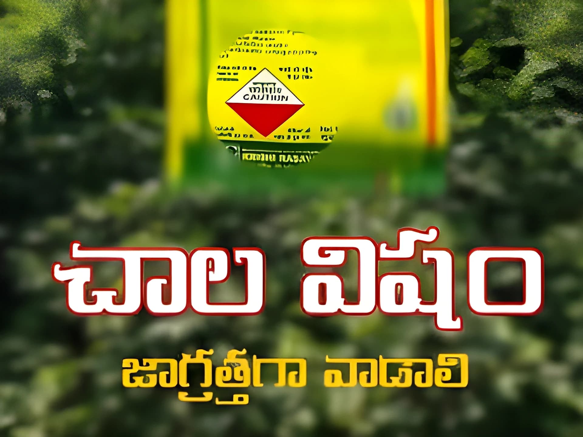 పురుగు మందుల బాటిళ్లపై ఈ రంగులెందుకో తెలుసా?