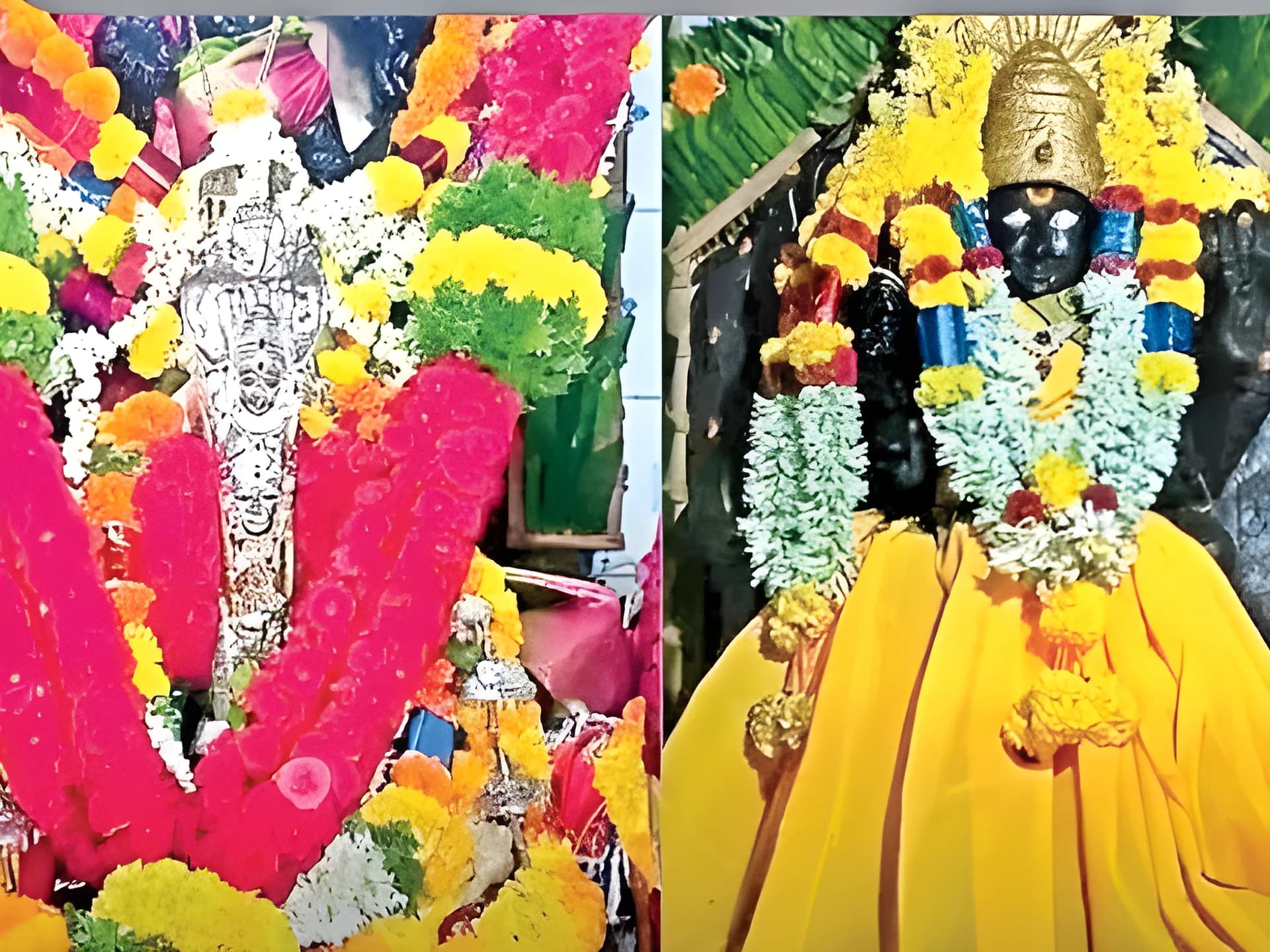 మాంసాహారం వల్ల ఈ ఊరు వినాయక చవితికి దూరం