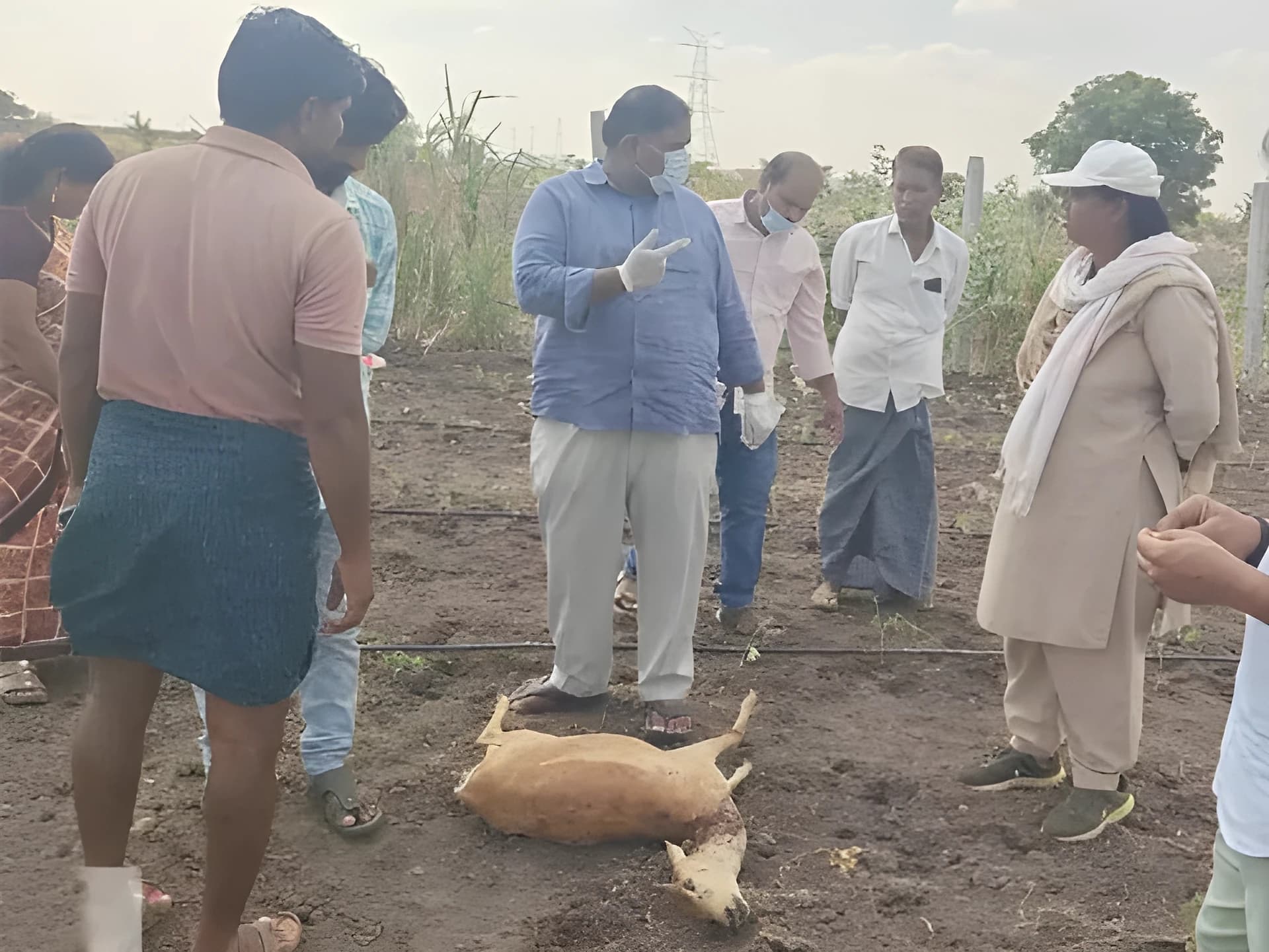 చిరుతల దాడిలో 7 జంకులు మృతి.. గ్రామస్థుల ఆందోళన!