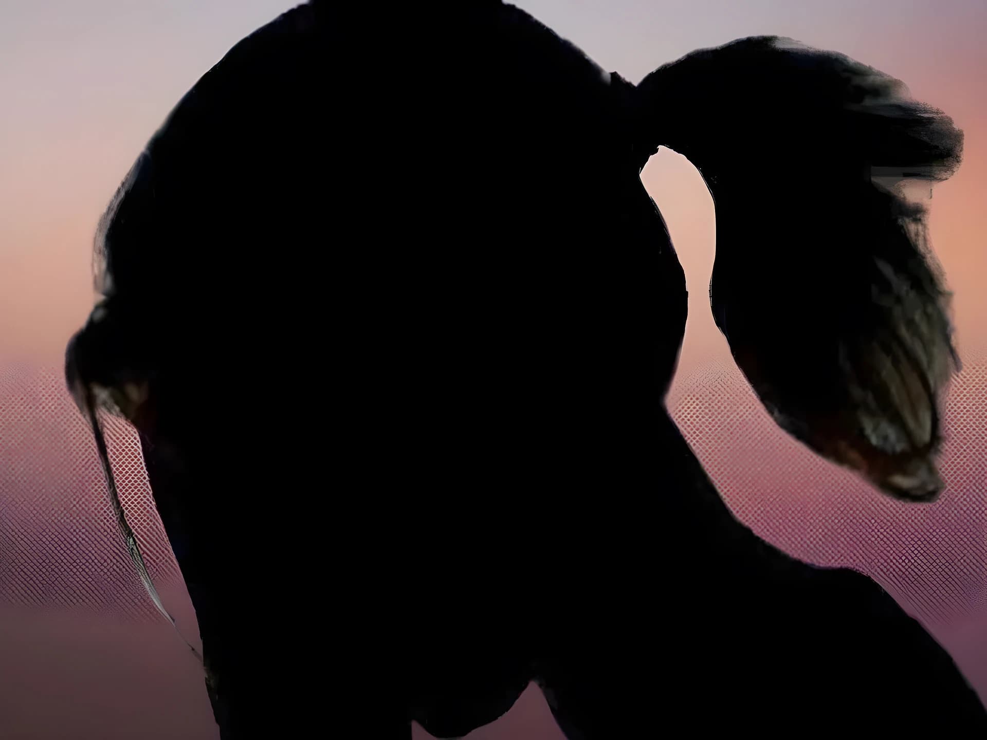 సాఫ్ట్‌వేర్ ఉద్యోగిపై సెక్యూరిటీ వేధింపులు