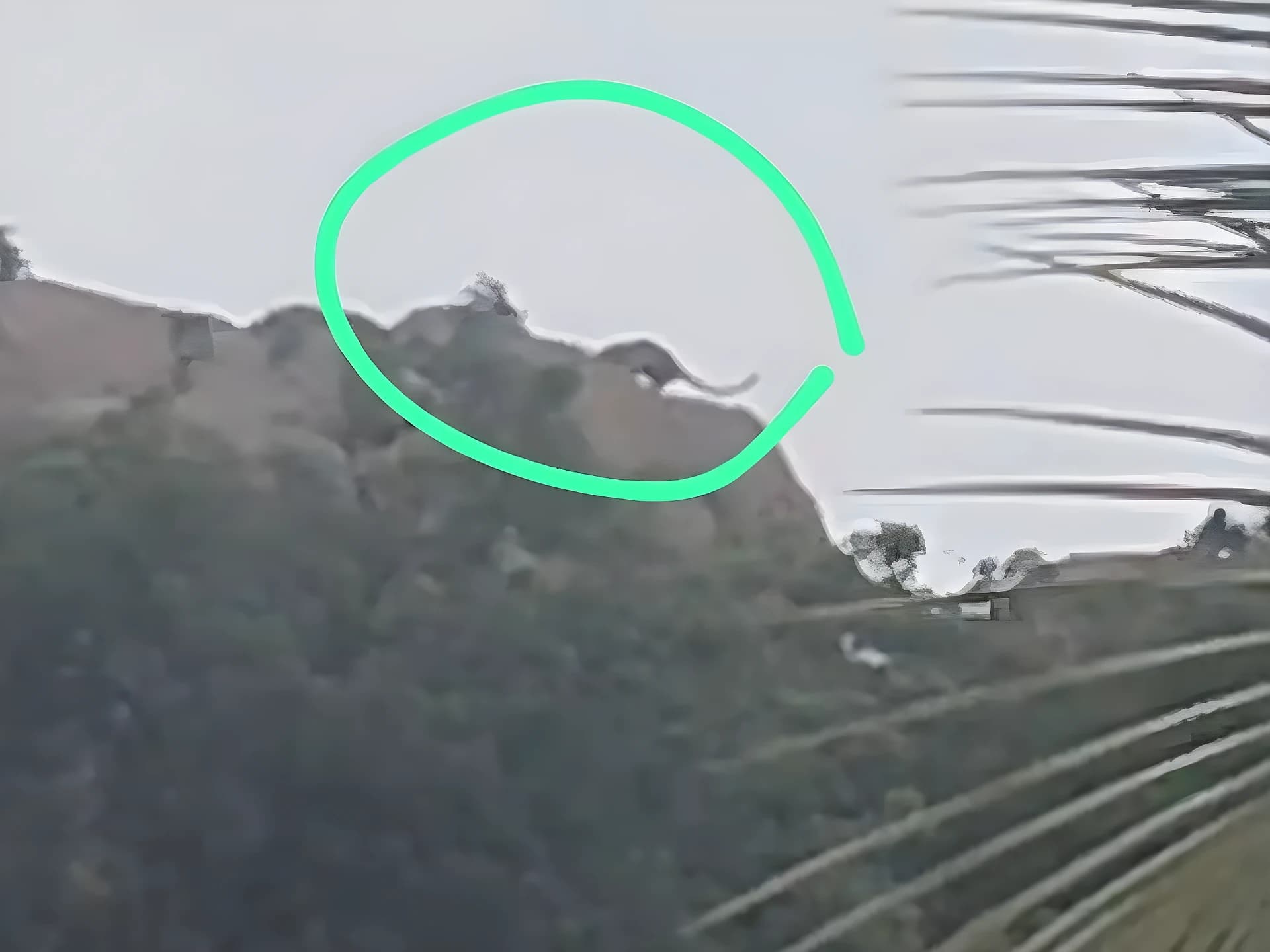 చిరుత సంచారం.. గ్రామస్తుల్లో భయం