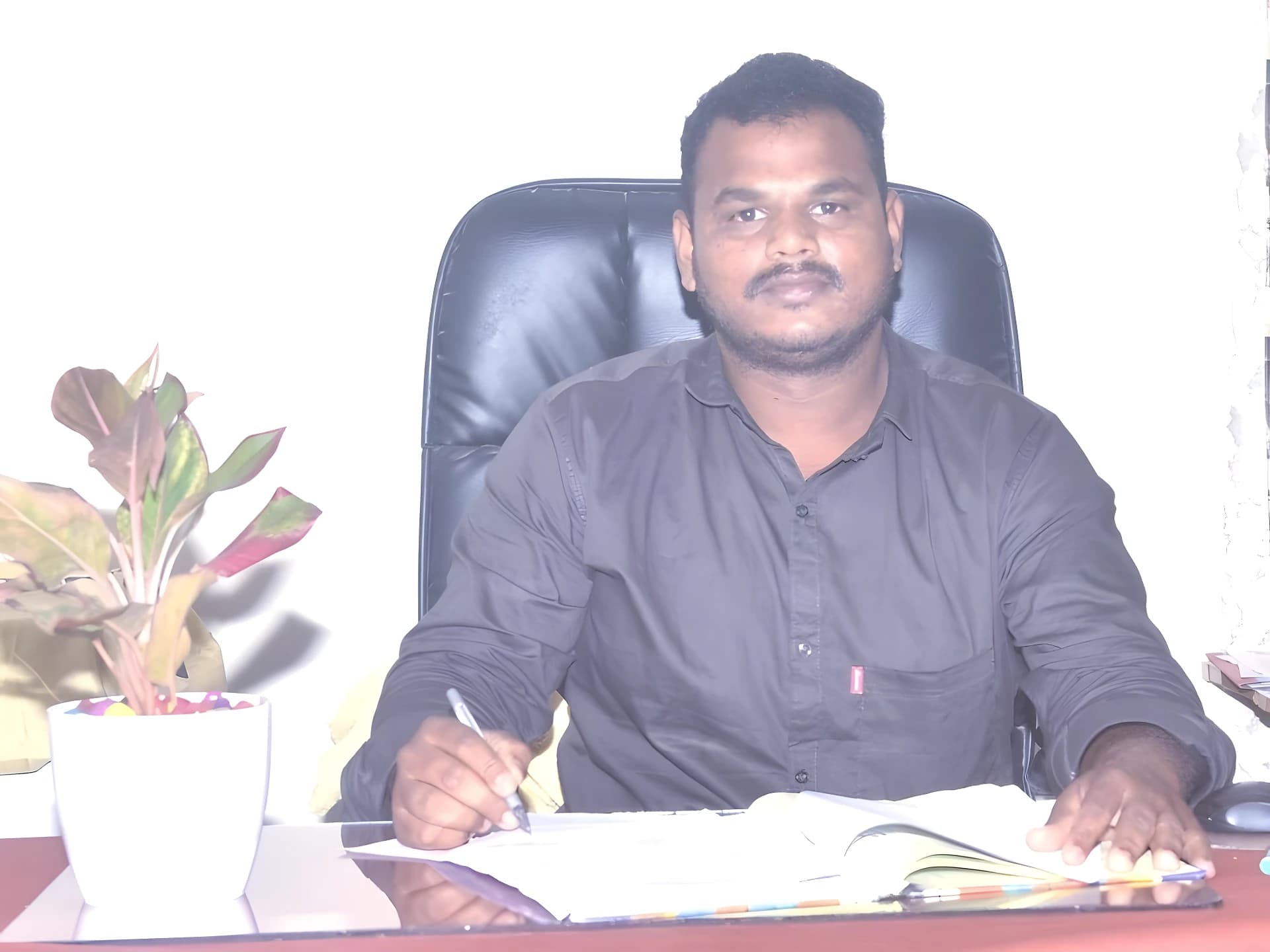 రెడ్‌క్రాస్ కమిటీ ఎన్నికలకు రంగం సిద్ధం