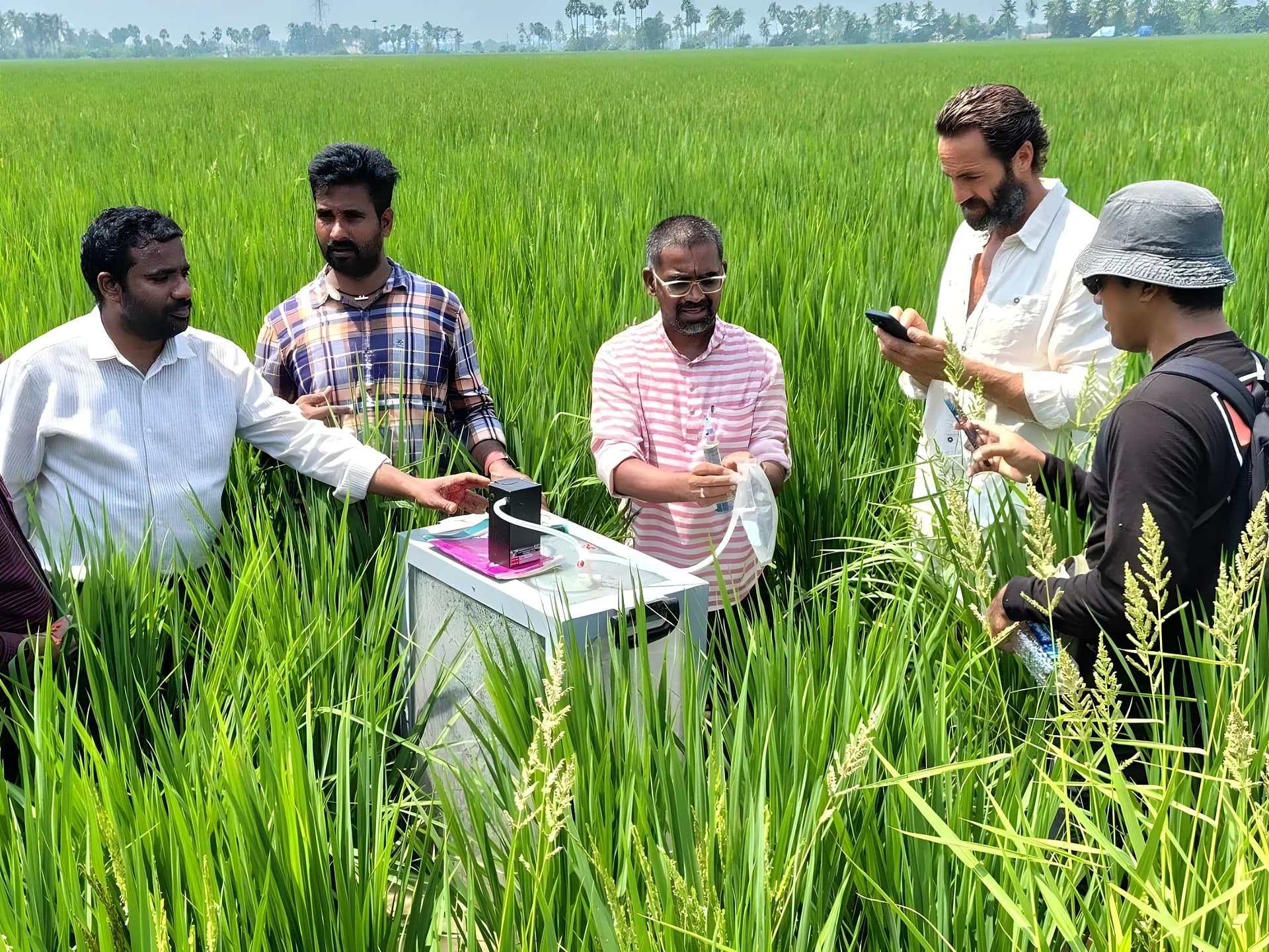 ప్రకృతి వ్యవసాయ మోడల్స్‌పై ఇంటర్నేషనల్ టీమ్ స్టడీ