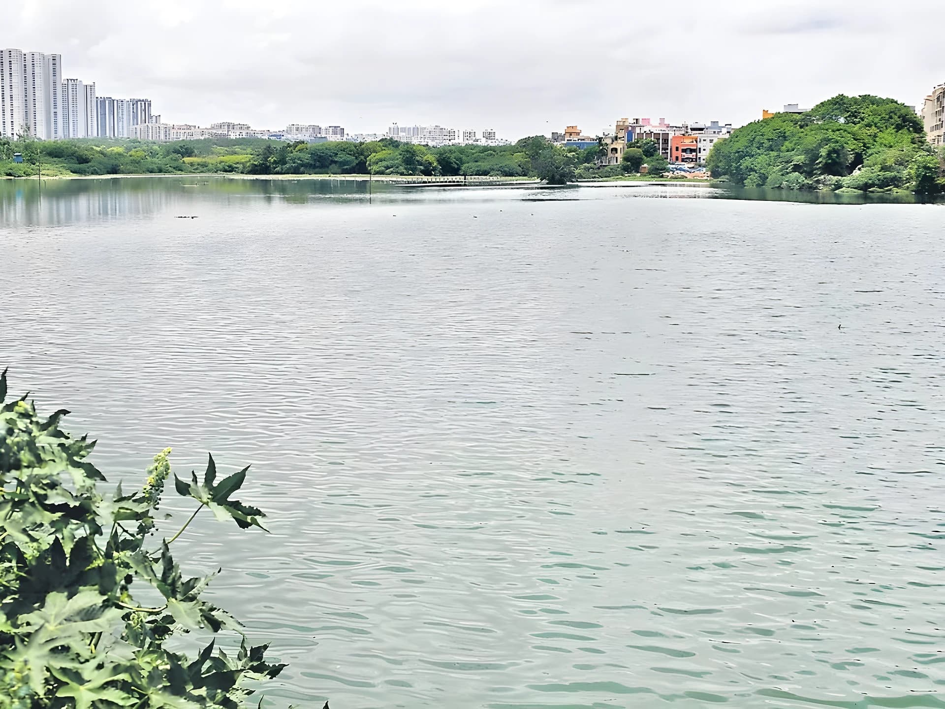 మురుగు నీటితో చెరువు కలుషితం..