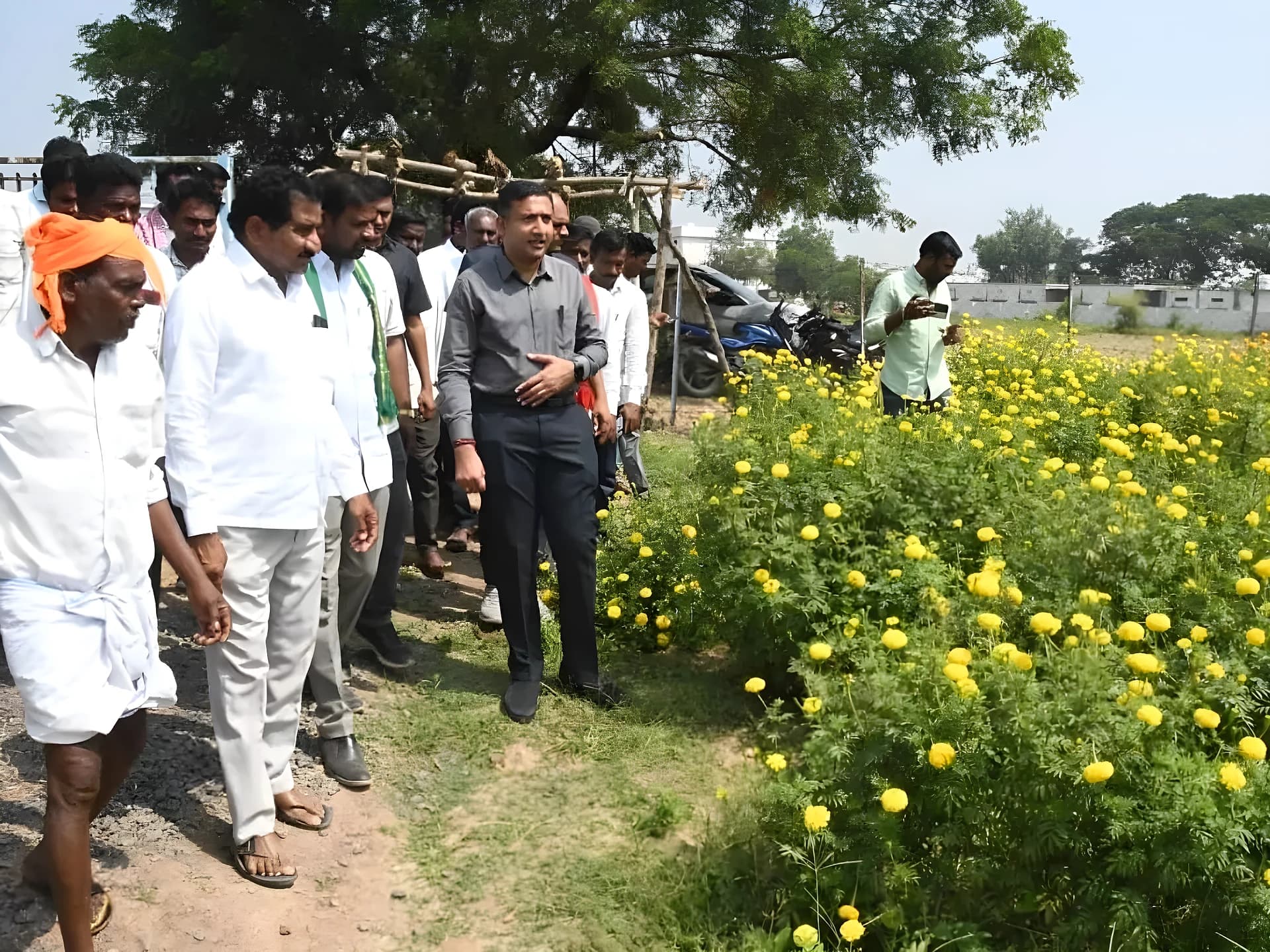 పువ్వుల సాగుతో రైతులకు లాభాల బాట