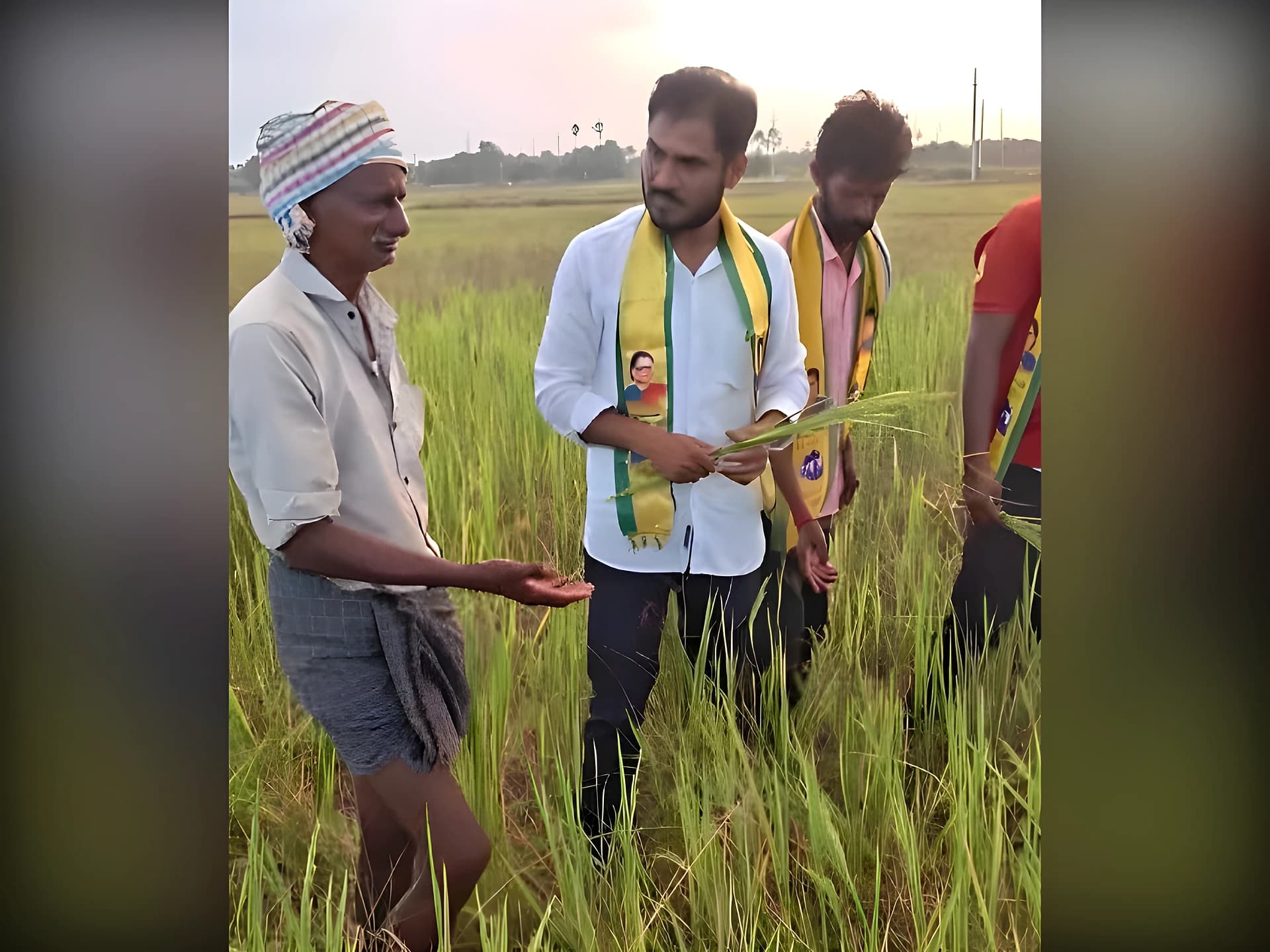 గురిజాలలో ఎండిపోయిన పంటలు