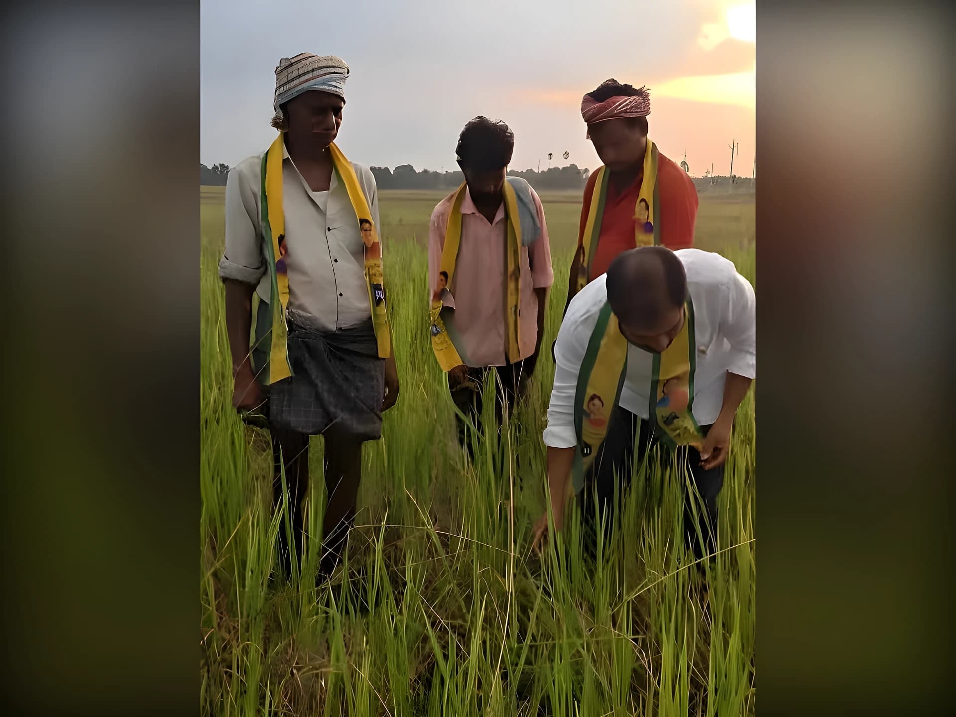 గురిజాలలో ఎండిపోయిన పంటలు