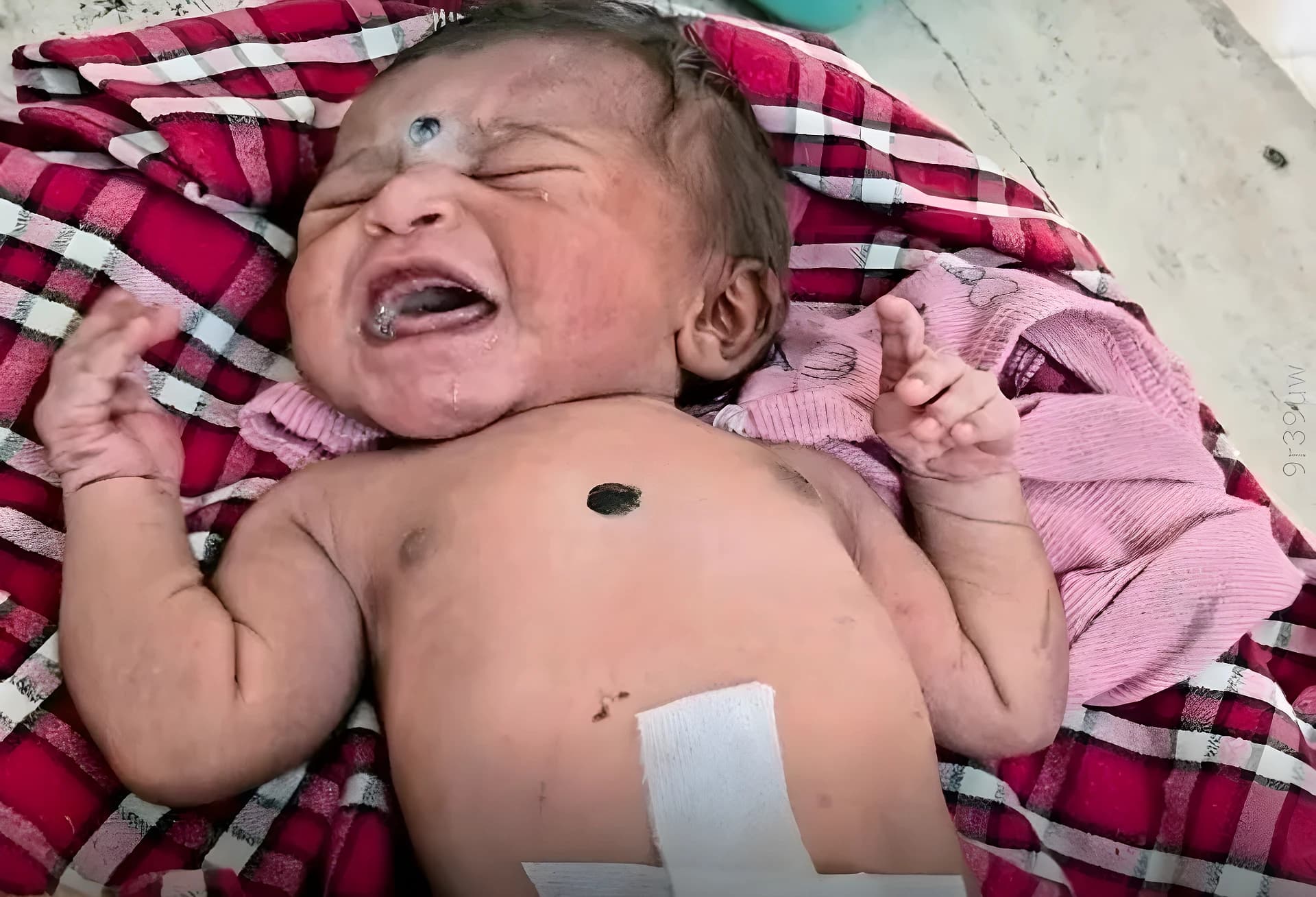 ముళ్లపొదల్లో పసికందు..కాపాడిన గొర్రెలకాపర్లు