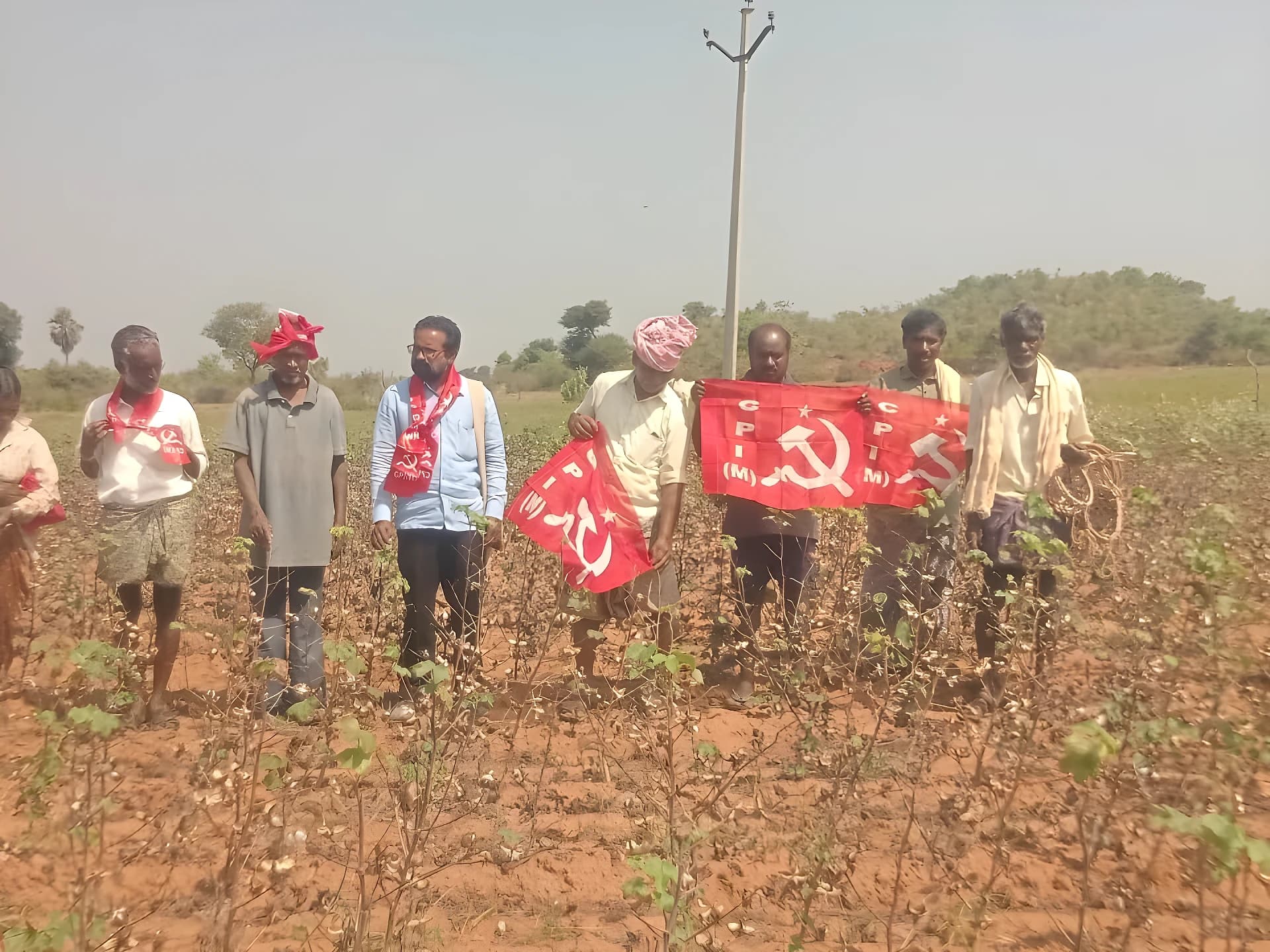 ఎండిన పత్తి.. ఎకరాకు ₹25వేల పరిహారం డిమాండ్!