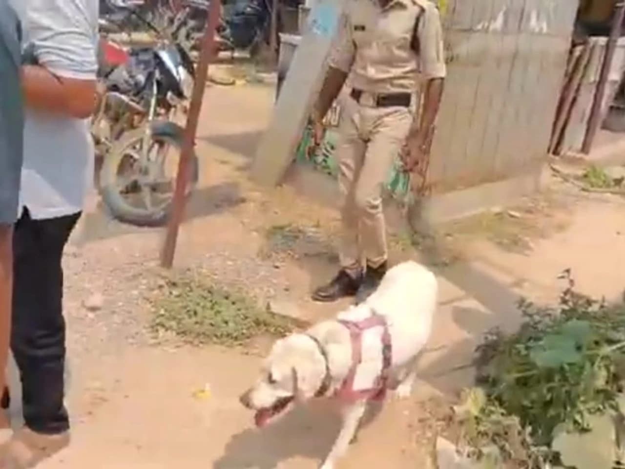 డ్రగ్స్‌పై పోలీసుల ప్రత్యేక తనిఖీలు!