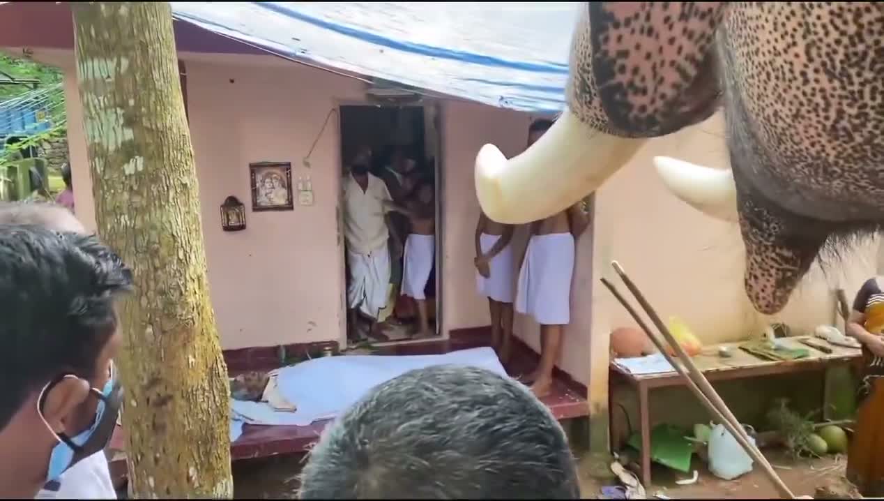 ప్రేమంటే ఇది.. చివరిసారి అతని కోసం వచ్చిన ఏనుగు