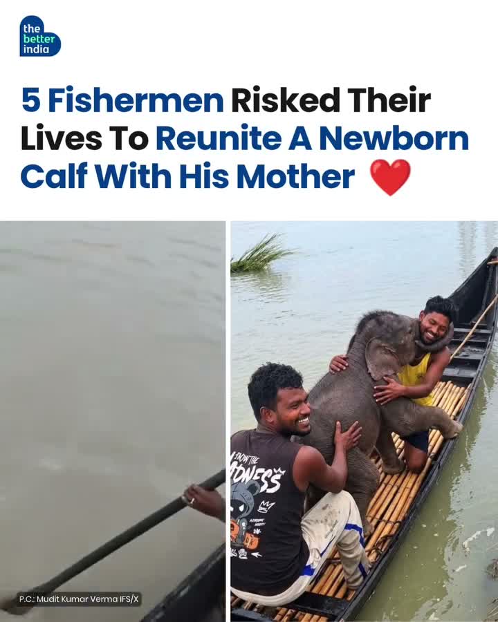 జాలర్ల ప్రేమతో రీయునియన్ సక్సెస్! 🥰🐘
