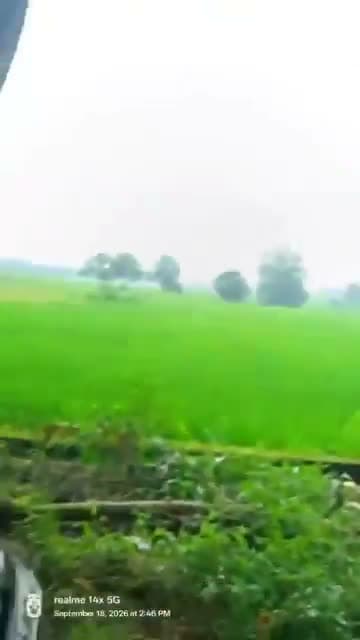 ఒడిశాలో జంటపై దాడి.. బీహార్ తరహాలో.!