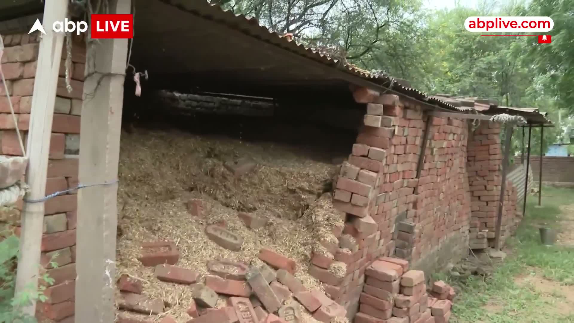 గేదెల షెడ్‌లో స్కూలా?