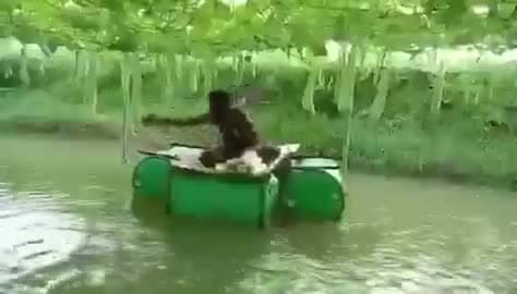 చెరువు పైన పందిరి.. రోల్ మోడల్‌గా నిలిచిన రైతు!