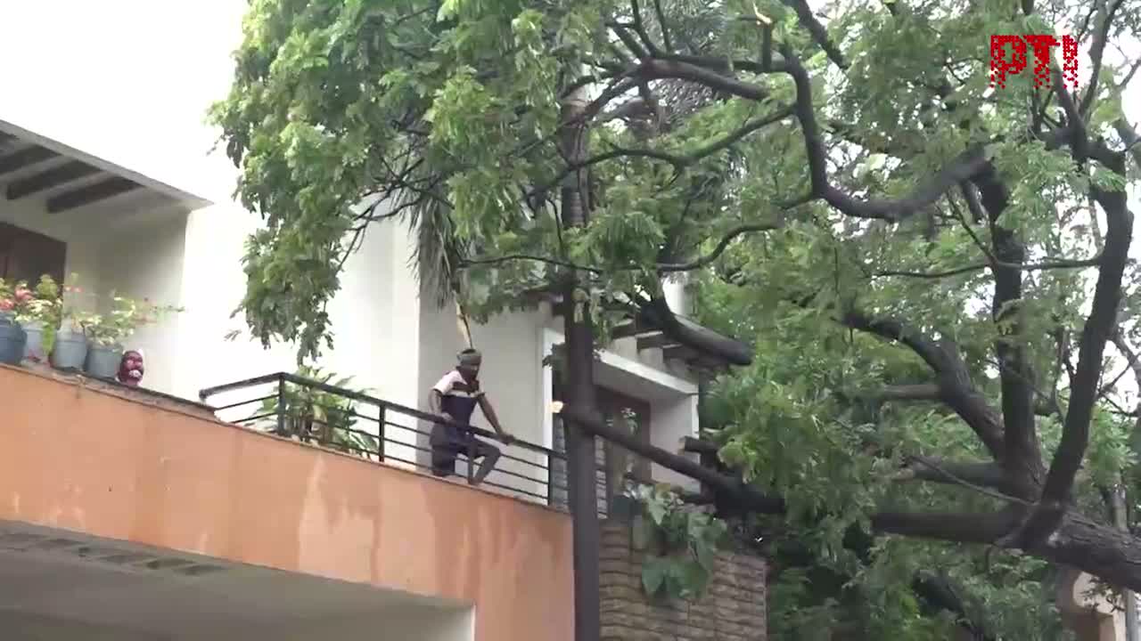 వాన బీభత్సం.. ఇంటిపై కూలిన చెట్టు