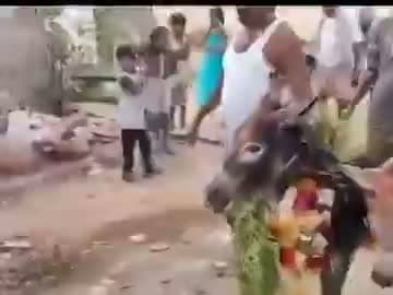 వర్షాల కోసం గాడిదలకు పెళ్లి
