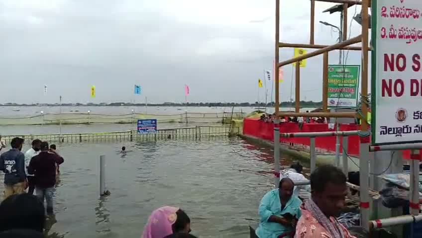 నెల్లూరులో రొట్టెల పండుగ కోలాహలం
