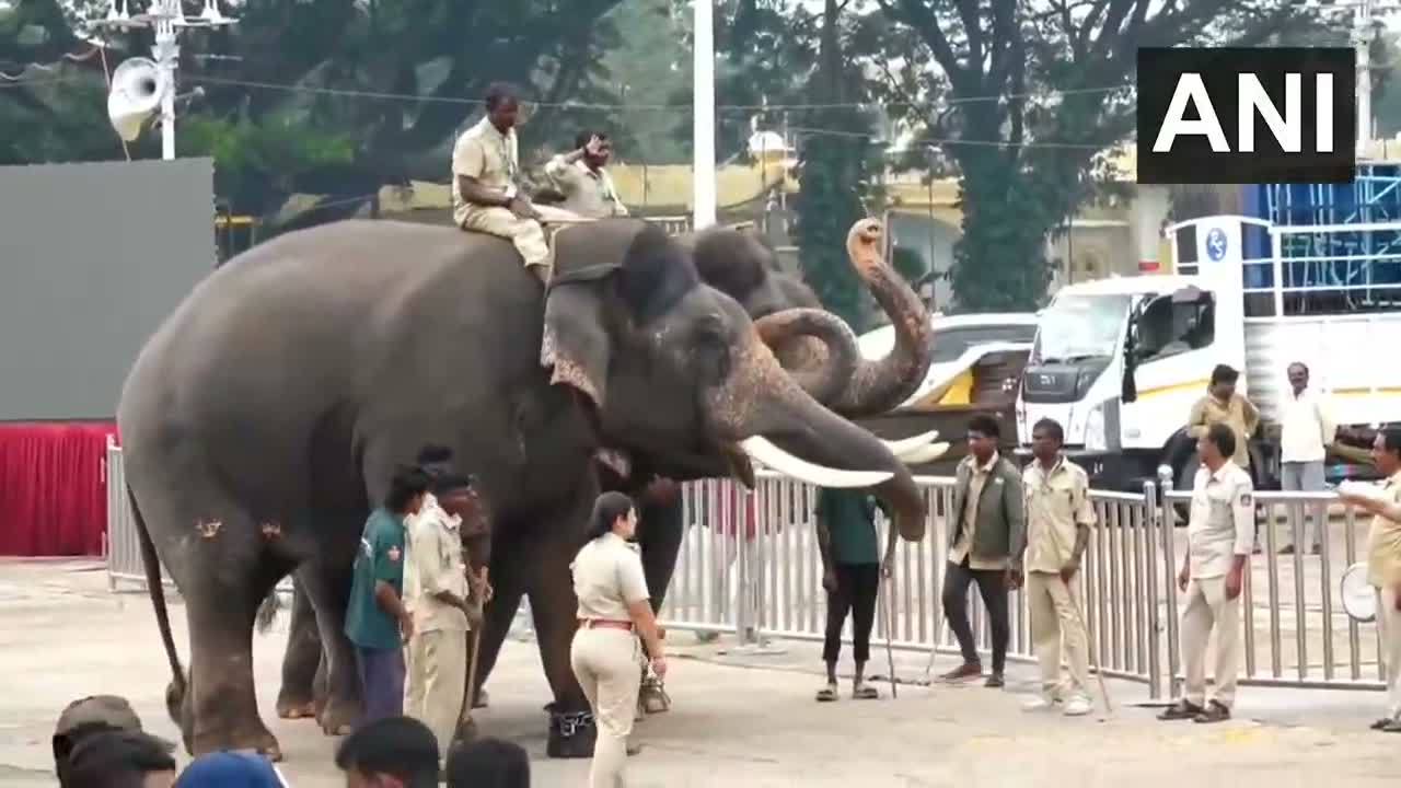జంబూ సవారీకి ముస్తాబైన మైసూరు ప్యాలెస్‌