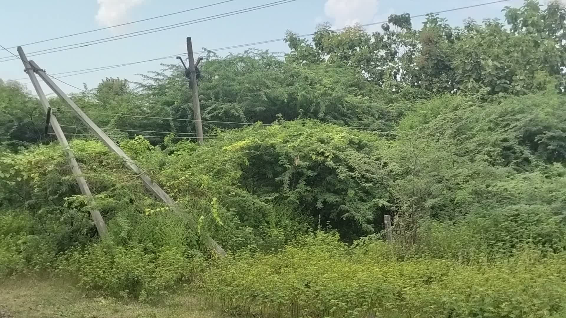 డేంజర్‌గా మారిన కరెంట్ స్తంభం
