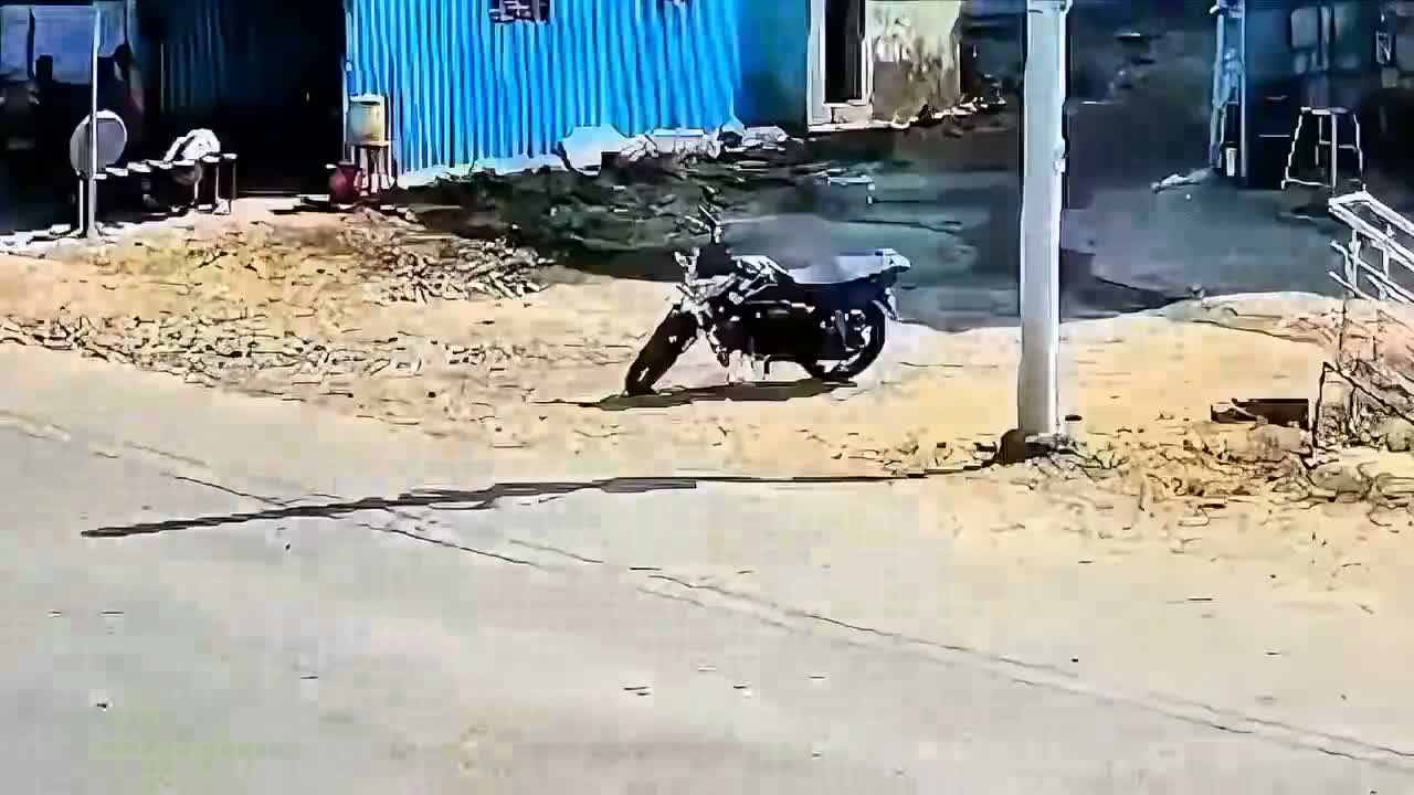 శెభాష్.. ధైర్యంగా ప్రాణాలు దక్కించుకుంది