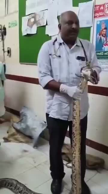 మహిళపై 15 అడుగుల కొండచిలువ దాడి