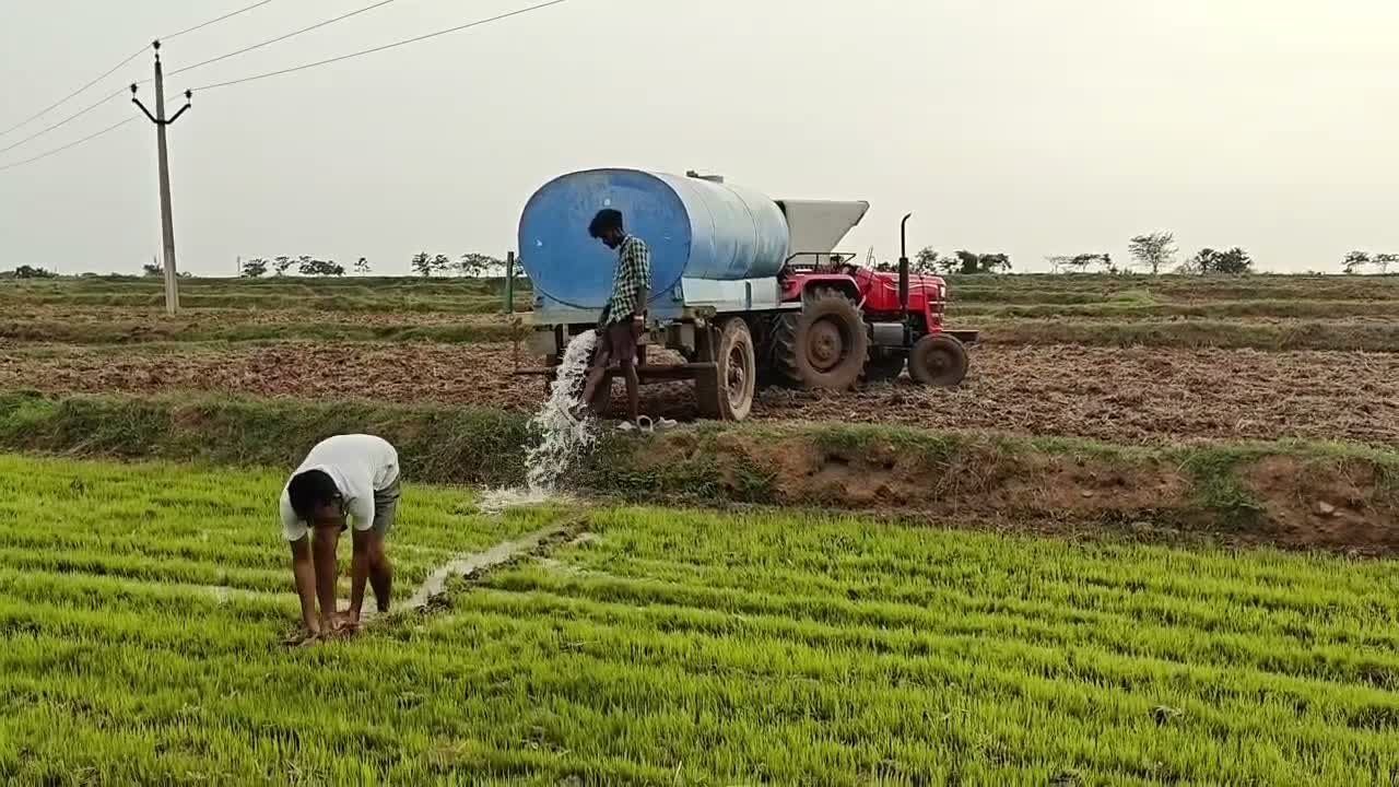 ట్యాంకర్లతో వరి నారుకు నీరు