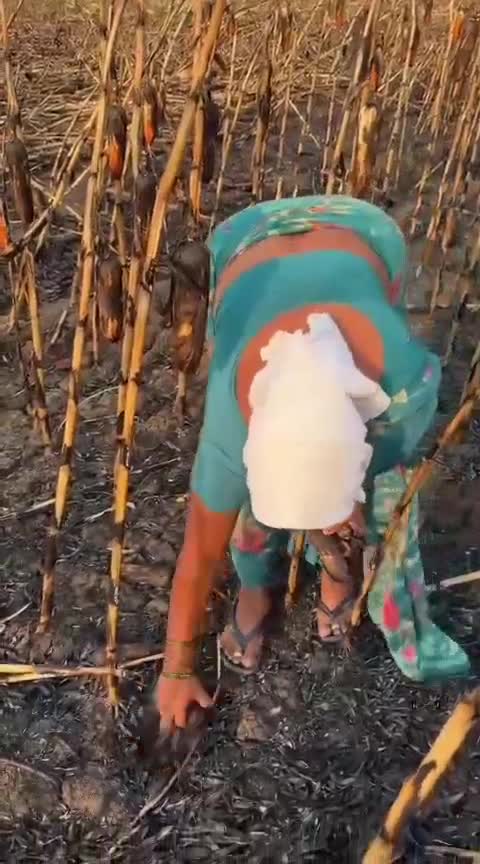 రైతన్న గుండెలు పిండే ఆవేదన !!