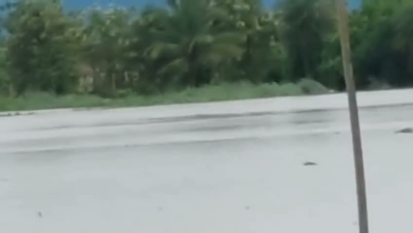నీట మునిగిన వందల ఎకరాల పంటలు