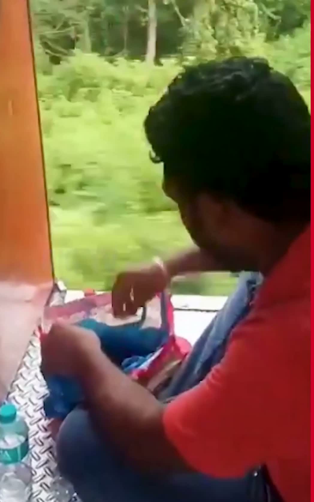రైలు ప్రయాణంలో విత్తనాల వర్షం..