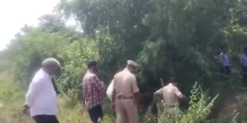మృతదేహాన్ని పీక్కుతింటున్నాయ్..