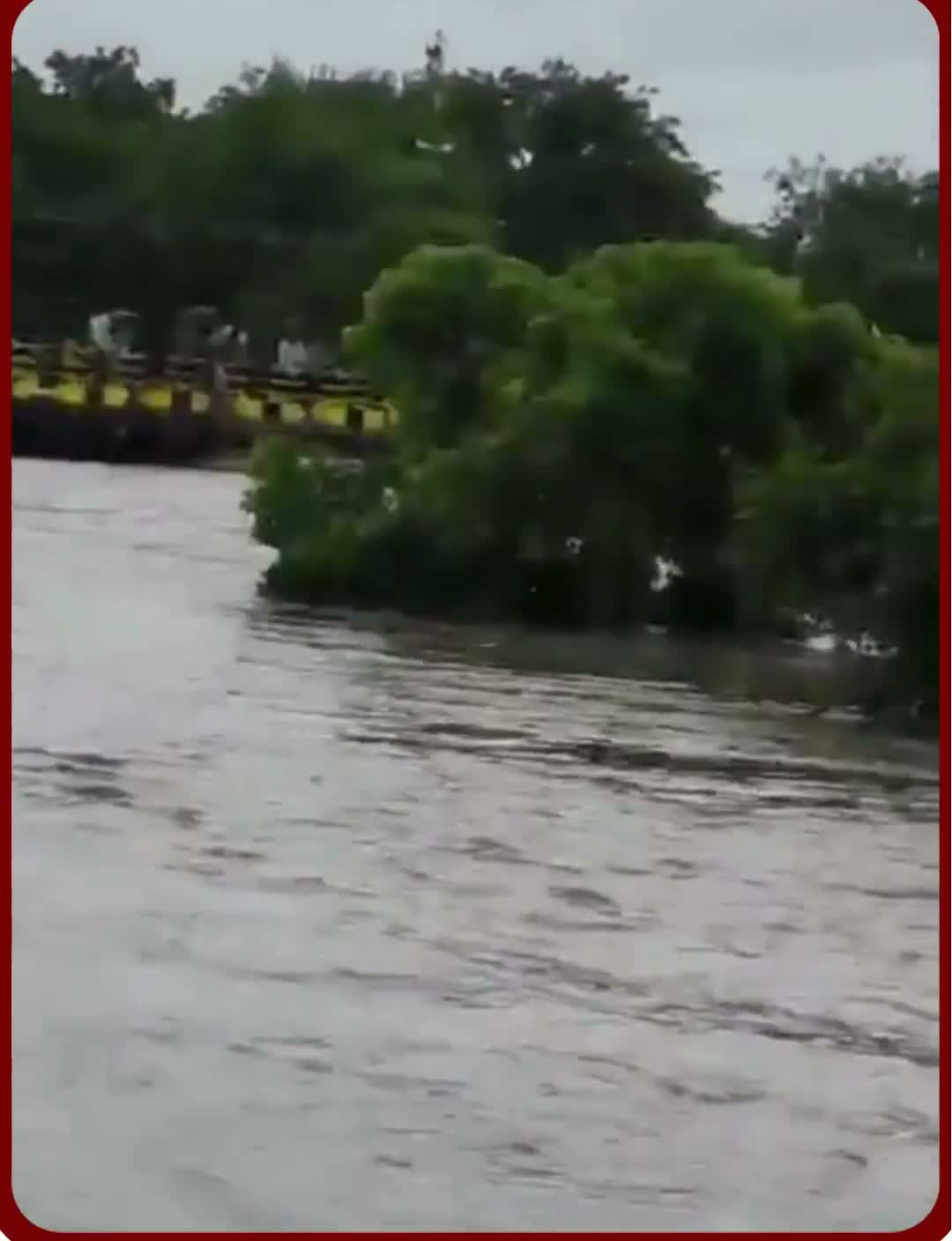 మహారాష్ట్రలో భారీ వర్షాలు కురుస్తున్నాయి. జల్గావ్ జిల్లాలో అంజని నది నీటిమట్టం హఠాత్తుగా పెరిగి, సురేష్ భిల్ అనే వ్యక్తి అందులో చిక్కుకుపోయాడు. నది మధ్యలో ఉన్న ఒక ఎత్తైన చెట్టు ఎక్కి కూర్చున్నాడు.