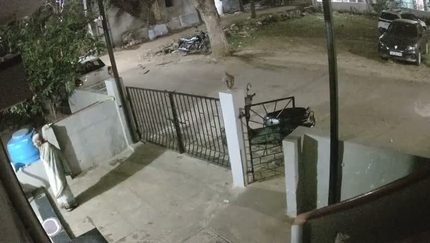కోతి దాడిలో రచయిత భార్య కన్నుమూత