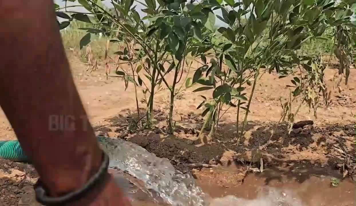 ట్యాంకర్ నీళ్లతో పంటల సాగు