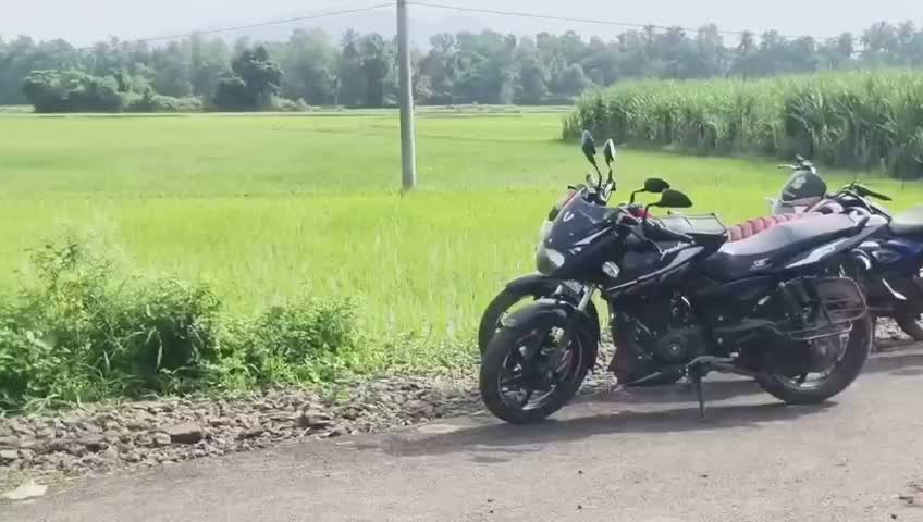 పొలాల్లోకి దూసుకెళ్లిన బస్సు!