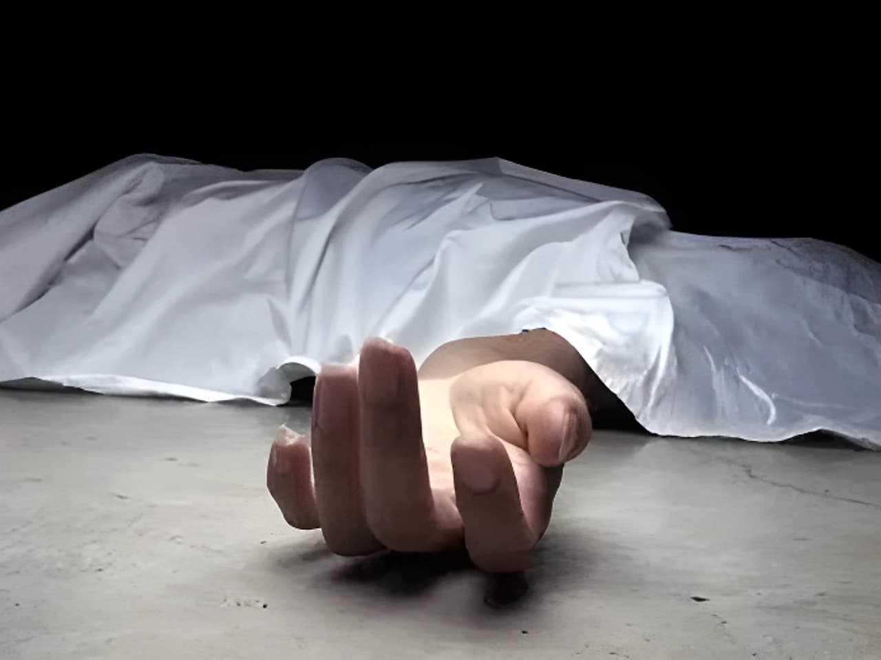 4వేల కిలోమీటర్ల ప్రయాణం.. అయినా నిలవని ప్రాణం
