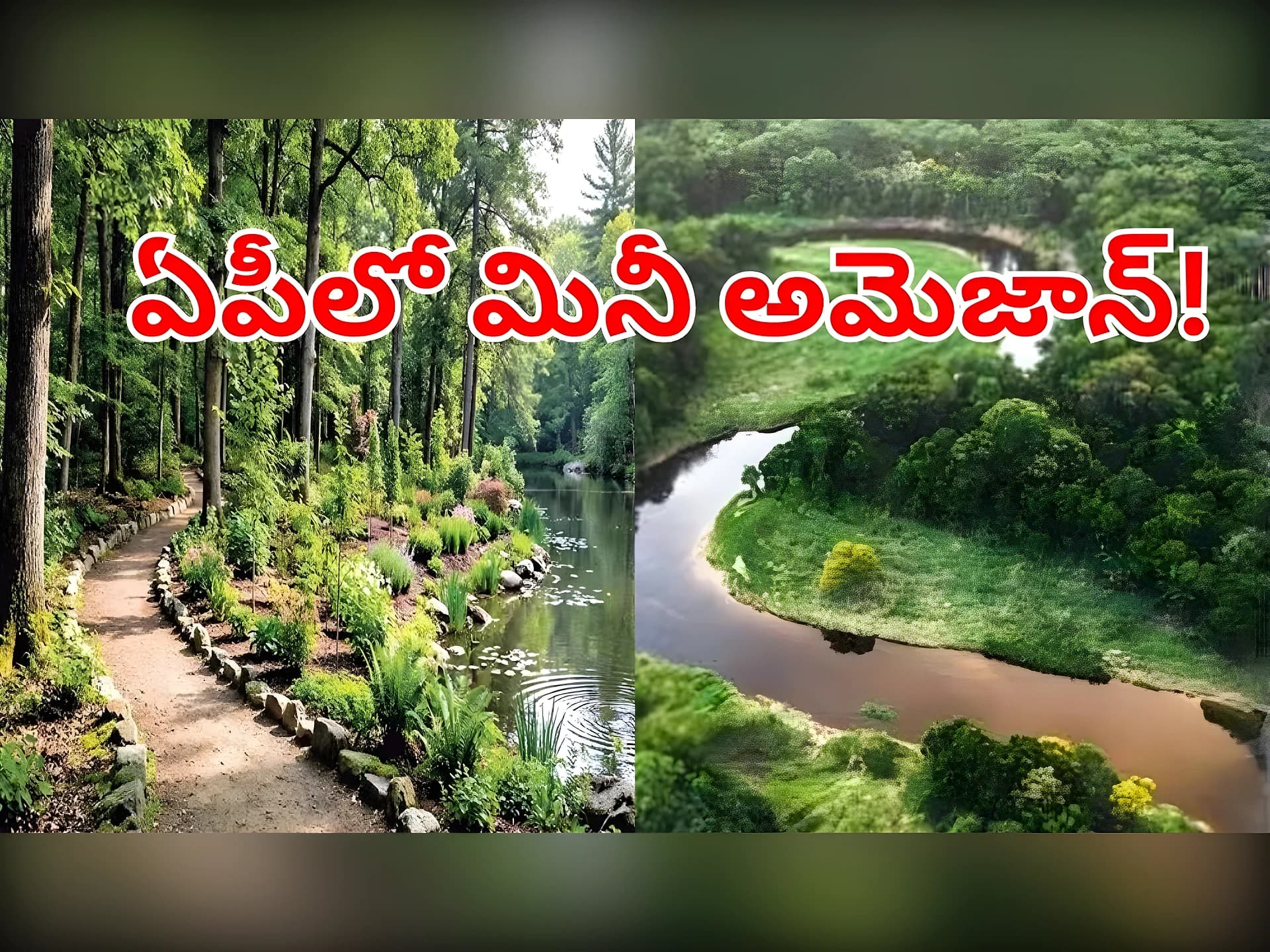 అమరావతిలో నిర్మాణంలో మినీ అమెజాన్