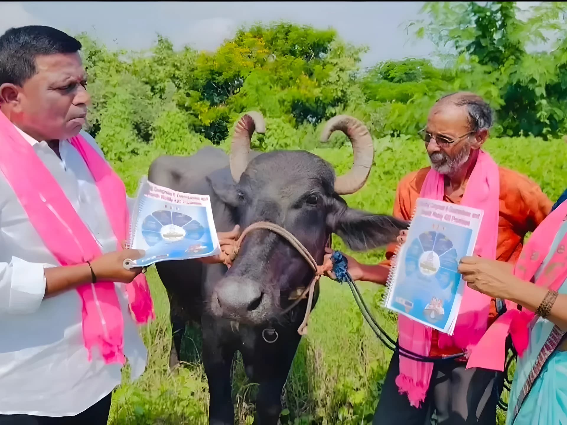 దున్నపోతుకు వినతిపత్రం ఇచ్చిన గ్రామస్తులు
